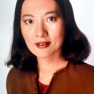 Upper Pylon 2 – 2 x 25: Tribunal