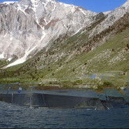 Ten Forward Episode #193 – Join Our Insurrection!