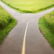 Upper Pylon 2 – Feedback for Tribunal